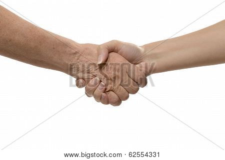 Handshake isolated on white
