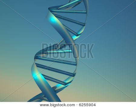 Dna