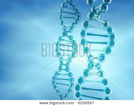 Dna 的结构