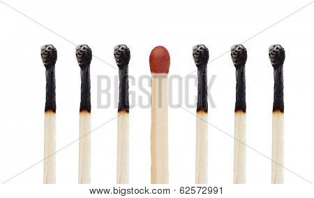 Many burned matches and a match without burning isolated on  a white background