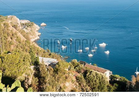 Coastal Landscape