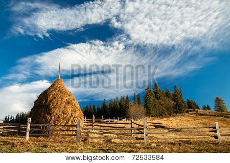 Beautiful Morning Countryside Landscape. Carpathian, Ukraine