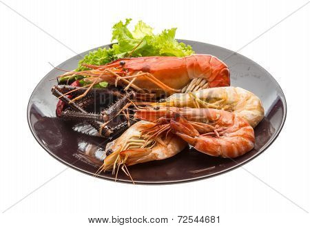 Giant Freshwater Prawn And King Prawns