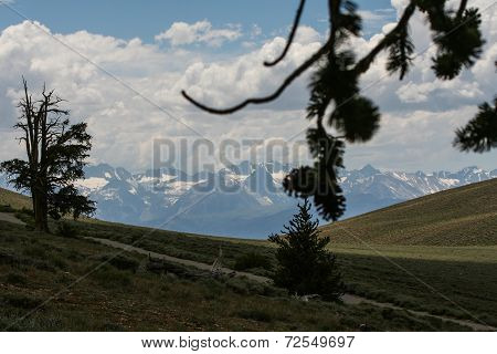 Mountains
