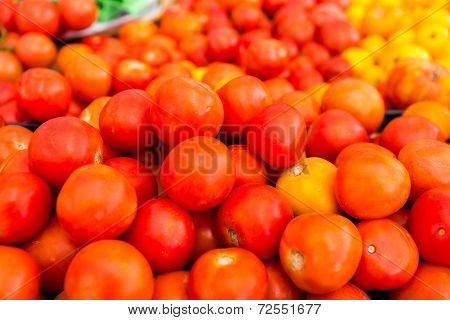 Red Tomatoes