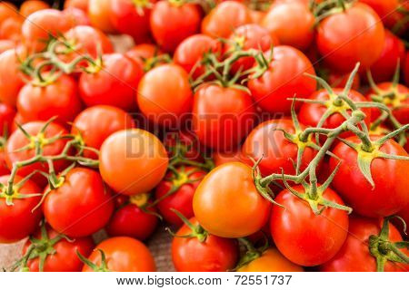 Red Tomatoes