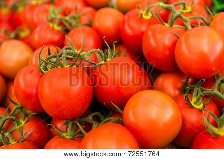 Red Tomatoes