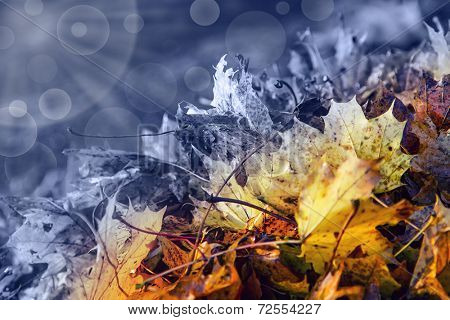 Abstract transition from autumn to winter time.