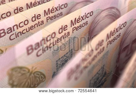 Mexican Pesos Closeup