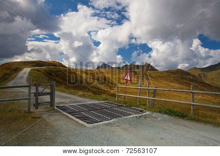 Cattle Guard In The Tirol Mountains,austria