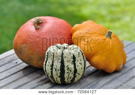 Varieties Of Pumpkins
