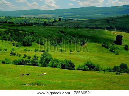 Landscape