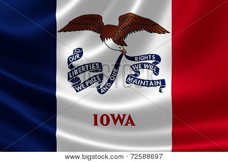 Iowa State Flag