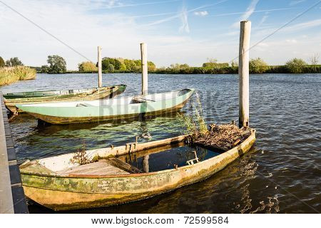 Grass Growing At A Neglected Rowboat