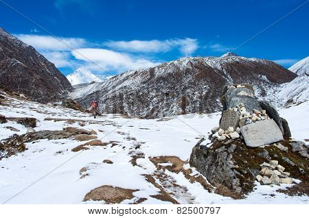 Hiking group on a trail.  Nepal, Himalayas