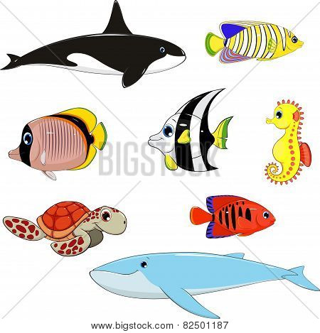 Set of marine animals