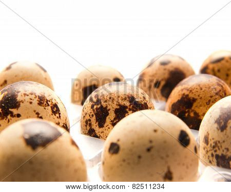 Quail Eggs In Their Plastic Packaging