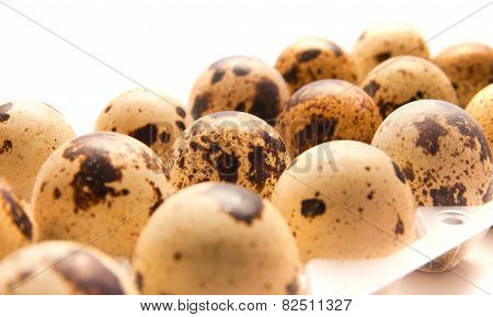 Quail Eggs In Their Plastic Packaging