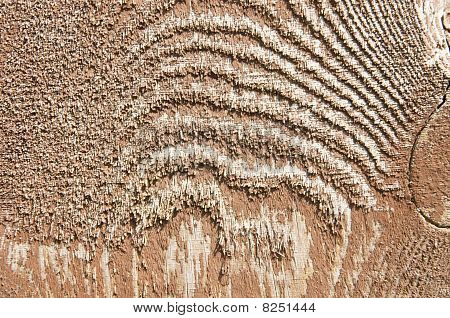 Texture legno