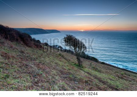 Cornish Coastline