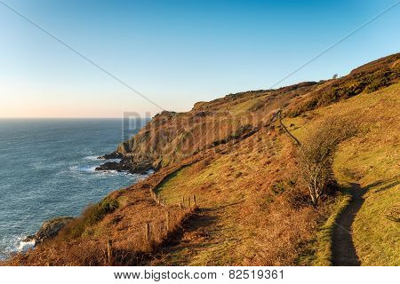 Pencarrow Head