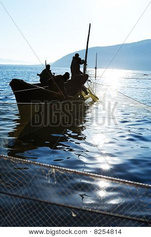Trap Fishing