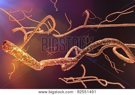 Microscopic Ebola Virus 3D render