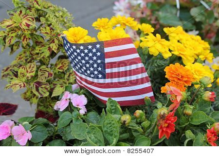Giardino patriottica