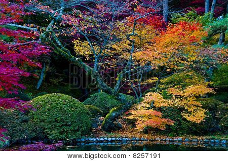 Autunno giapponese