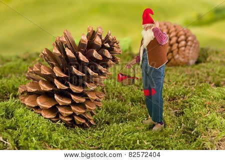 Old garden gnome with miniature basket standing in front of a pinecone
