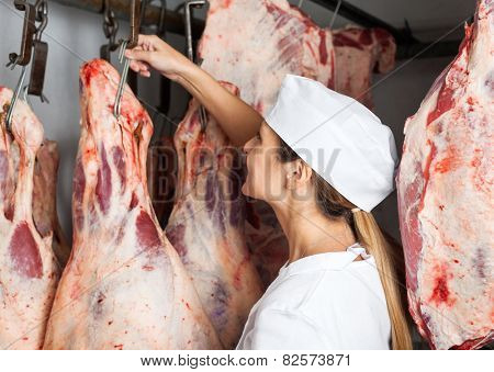 Side view of female mature butcher hanging meat in butchery