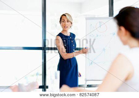 Businesswoman doing a presentaion in front of her collegues