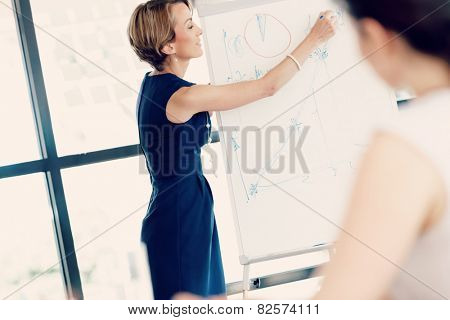 Businesswoman doing a presentaion in front of her collegues