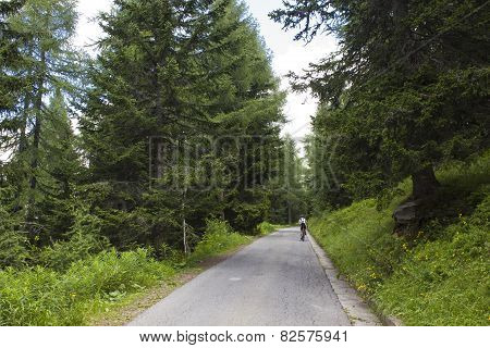 Cyclist In A Mountain Road