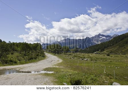Madesimo Valley Floor In Summer Season