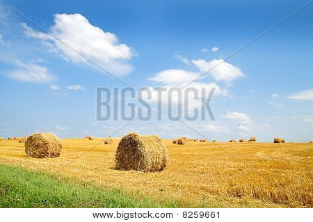 빨 대