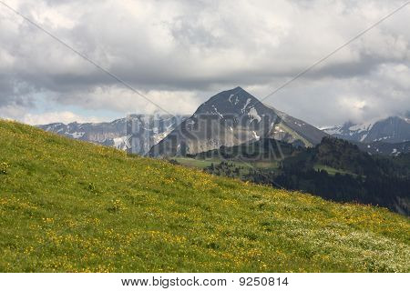 Morgon alpina Visa