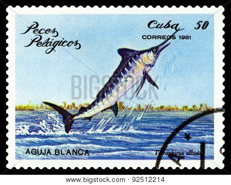 Vintage  Postage Stamp. Tetrapturus Albidus.