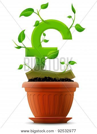 Growing Pound Symbol Like Plant With Leaves In Flower Pot