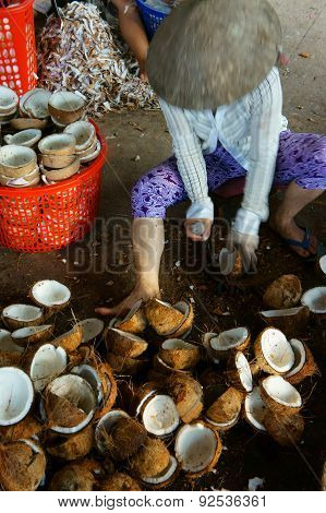 Asian Worker, Coconut, Copra, Material, Mekong Delta