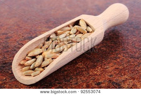 Heap Of Rye Grain On Wooden Spoon