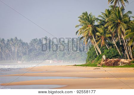 Untouched tropical beach with fishing boat in Sri Lanka