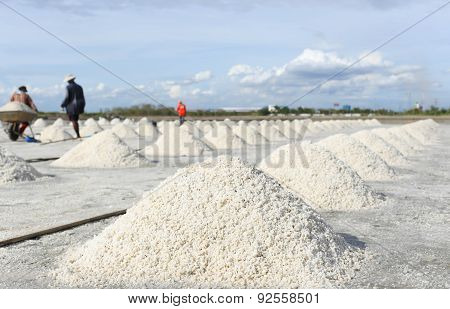 Pile Of Salt In The Salt Pan In Thailand