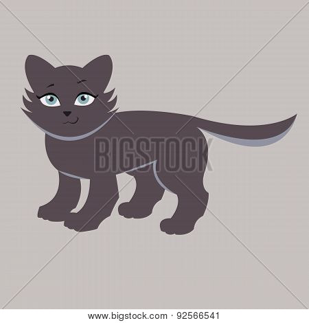 Black cat