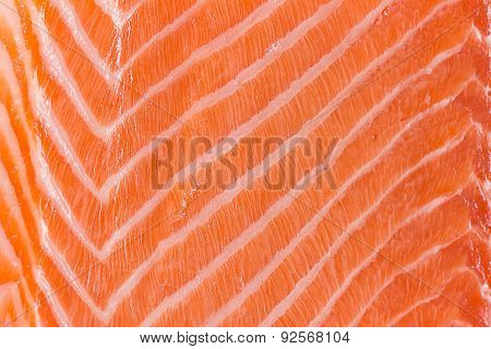 Fresh Salmon Uncooked Fillet