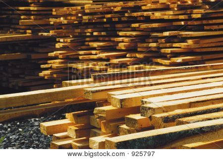 Cutted_Wood_1