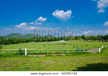 Stalls