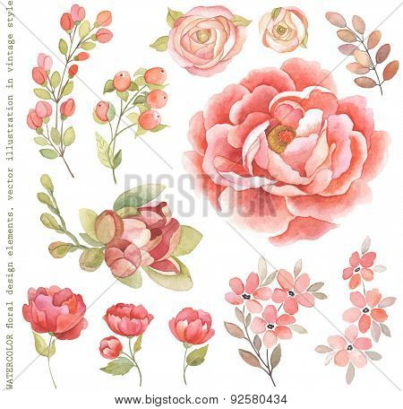 Collection of watercolor floral branches, flowers and plants in vintage style.