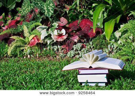 Kinyitott egy virág-könyv