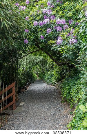 Indian Trail In Burien Washington 2